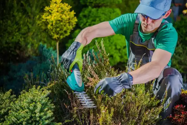 landscaping services Sloan